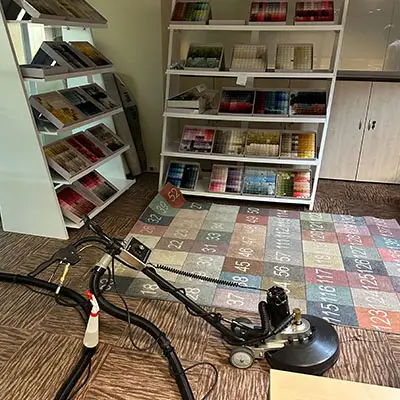 Yerinde Halı Yıkama ve Evcil Hayvanlar