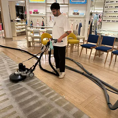 Yerinde Halı Yıkama ve Evcil Hayvanlar