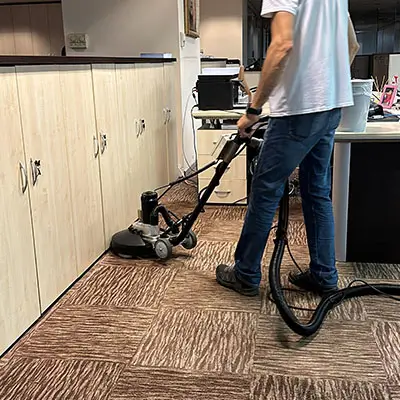 Yerinde Halı Yıkama ve Evcil Hayvanlar